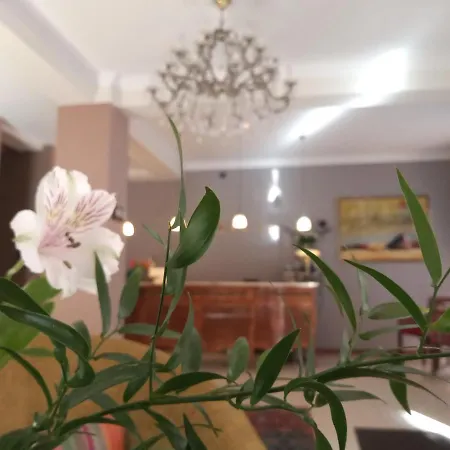 斯塔勒米亚斯托老城酒店 酒店 波兹南