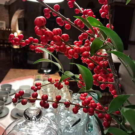 酒店 斯塔勒米亚斯托老城酒店 3*