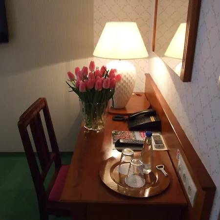 斯塔勒米亚斯托老城酒店 波兹南