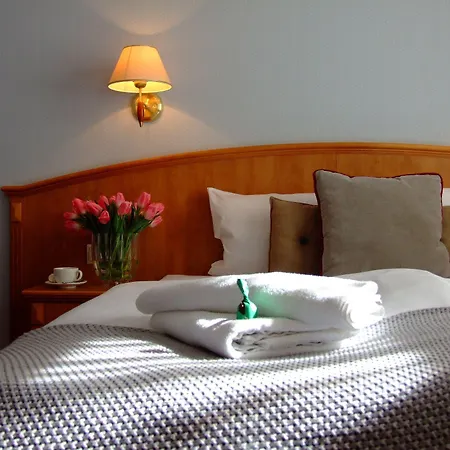 斯塔勒米亚斯托老城酒店 3* 波兹南