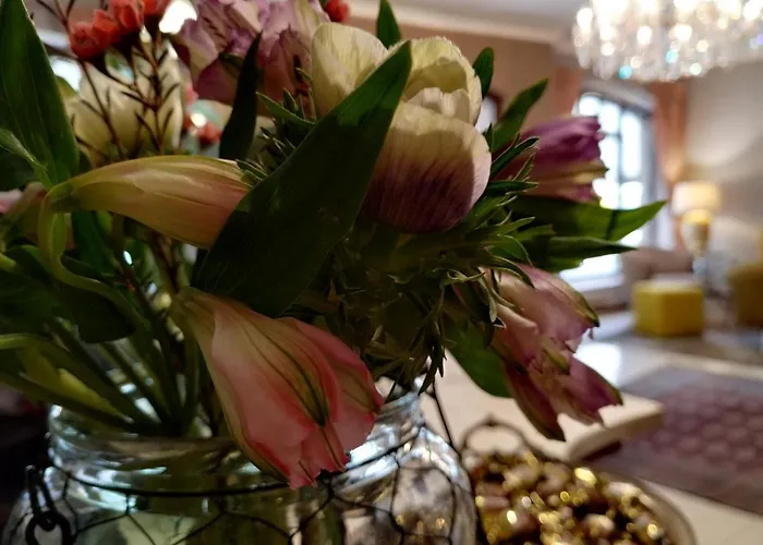 Stare Old Town 3* Познань