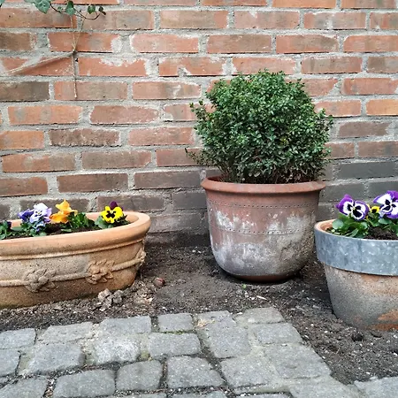 Stare Old Town Otel 3*