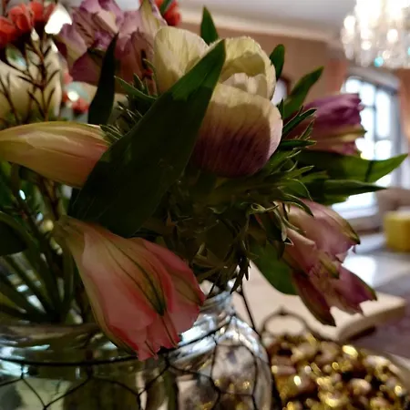 Stare Old Town 3* Poznan