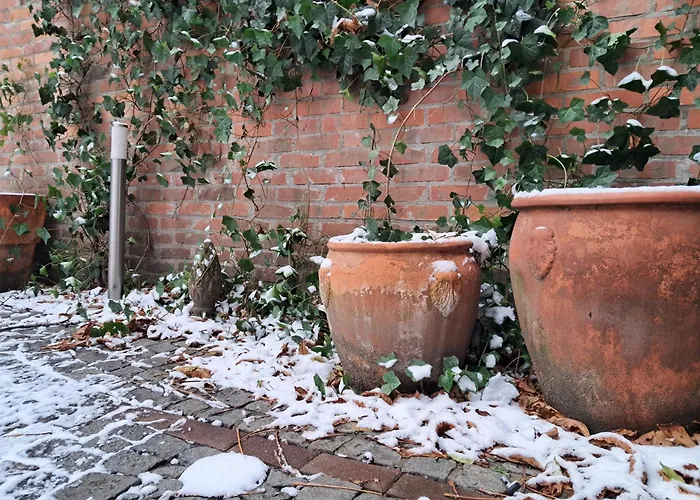 酒店 斯塔勒米亚斯托老城酒店 波兹南