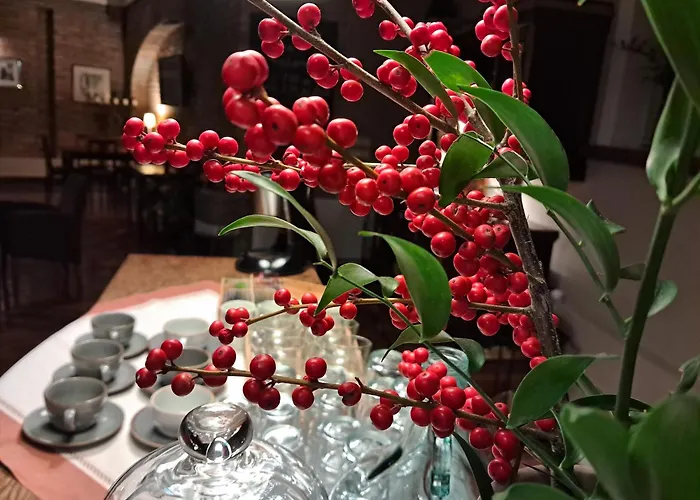 Szálloda Stare Old Town 3*